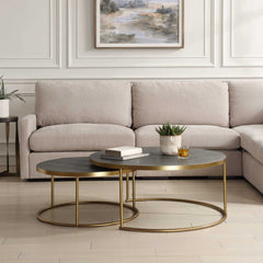 Aragon Gray Nesting Coffee Tables Set/2