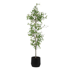 Boreal Potted Birch Tree