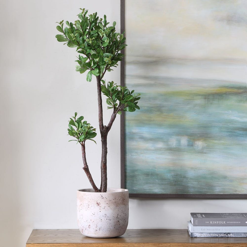 Arbor Strawberry Tree