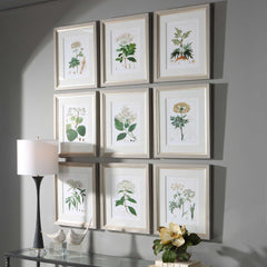 Antique Botanicals Framed Prints Set/9