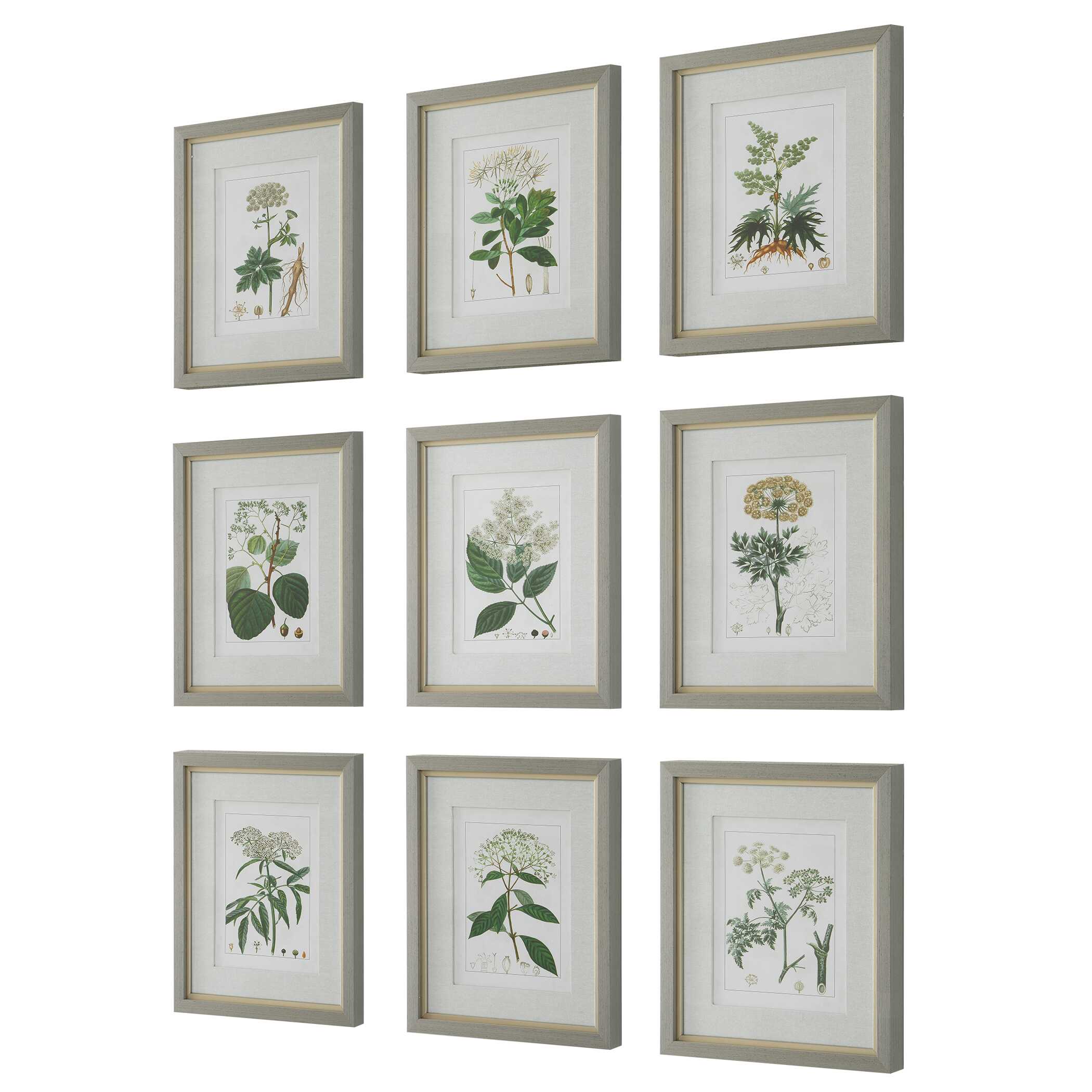 Antique Botanicals Framed Prints Set/9
