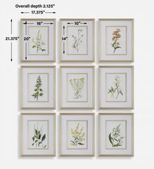 Botanical Flowers Framed Prints Set/9