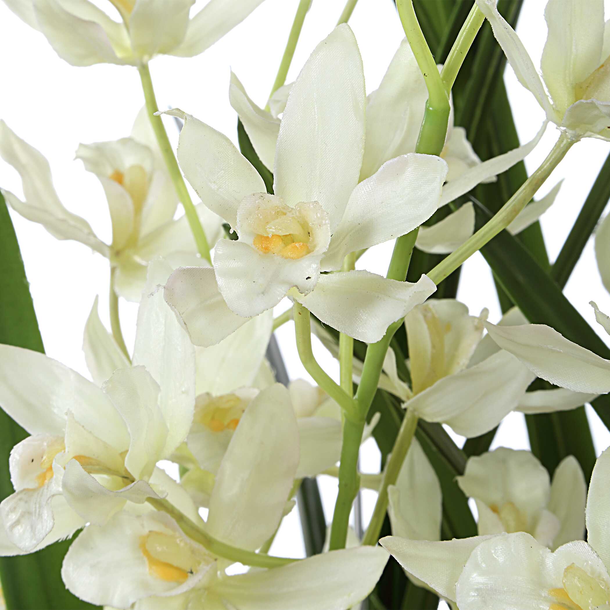 Ariana Orchid Planter