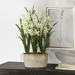 Ariana Orchid Planter